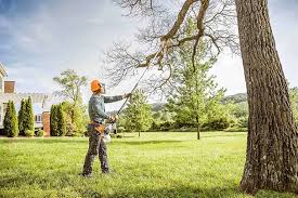 Lawn Pest Prevention in Westmere, NY